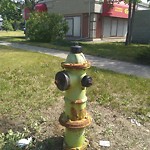 Fire Hydrant Concerns at 505 Mcknight Bv NE