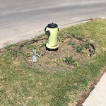 Fire Hydrant Concerns at 298 Douglasdale Pt SE