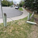 Fence or Structure Concern - City Property at 2442 34 Av SW