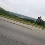 Coyote Sightings and Concerns at 3 Valley Stream Manor Nw, Calgary, Ab T3 B 5 V9, Canada