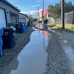 Backlane Maintenance at 4727 17 Av NW