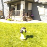 Fire Hydrant Concerns at 84 Evansfield Wy NW