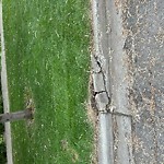 Sidewalk or Curb - Repair at 315 Elbow Park Ln SW Elbow Park