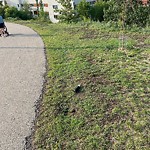 Sprinkler Maintenance in a Park-WAM at 49 7 A St NE