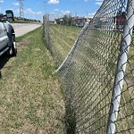 Fence or Structure Concern - City Property at 3846 Sarcee Tr SW