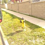 Fire Hydrant Concerns at 83 Evansview Gd NW