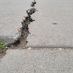 Sidewalk or Curb - Repair at 184 Cramond Cr SE