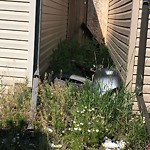 Debris on Street, Sidewalk, Boulevard at 44 Skyview Ranch Ln NE