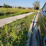 DO NOT USE - Mowing - Residential Boulevard up to 50km/h-WAM at 1020 11 Av SE