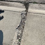 Sidewalk or Curb - Repair at 157 Pantego Rd NW