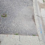 Sidewalk or Curb - Repair at 288 Midpark Gd SE