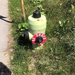 Fire Hydrant Concerns at 551 Midridge Dr SE