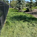 Mowing in a Park - Residential Boulevard up to 50km/h-WAM at 15 Aspen Summit Co SW