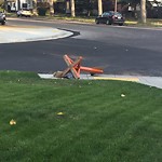 Sign on Street, Lane, Sidewalk - Repair or Replace at 2339 Woodview Dr SW