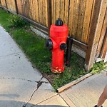 Fire Hydrant Concerns at 103 Deermont Rd SE