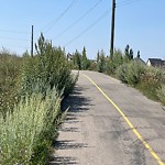 DO NOT USE - Mowing in a Park - Residential Boulevard up to 50km/h-WAM at Copperfield Shepard Calgary