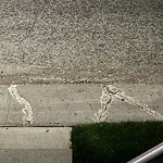 Sidewalk or Curb - Repair at 1604 11 Av NW