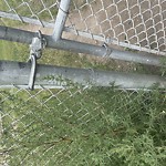 Fence or Structure Concern - City Property at 157 Scenic View Close NW Scenic Acres