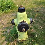 Fire Hydrant Concerns at 4207 35 Av SW