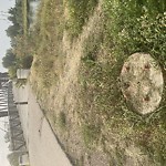 Fence or Structure Concern - City Property at Calgary Ab Ca