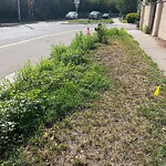 DO NOT USE - Mowing - Residential Boulevard up to 50km/h-WAM at 1934 12 Av SW