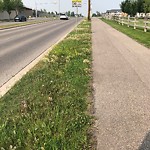 DO NOT USE - Mowing - Residential Boulevard up to 50km/h-WAM at 2292 Fish Creek Bv SW