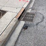 Catch Basin / Storm Drain Concerns at 51 High St SE