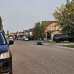 Debris on Street, Sidewalk, Boulevard at 183 Everhollow Wy SW