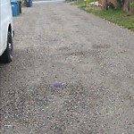 Pothole Repair at 371 Penswood Wy SE