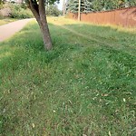 DO NOT USE - Mowing in a Park - Residential Boulevard up to 50km/h-WAM at 1400 Moorcroft Rd SW