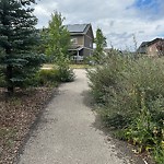 Shrubs, Flowers, Leaves Maintenance in a Park-WAM at 135 Cranarch Tc SE