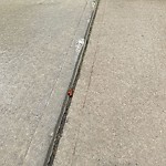 Sidewalk or Curb - Repair at 623 Tuscany Springs Bv NW