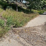Pedestrian and Cycling Pathway - Repair at 50 7 St NE
