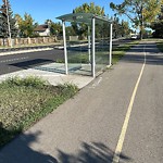 Bus Stop - Garbage Bin Concern at 774 Woodpark Rd SW