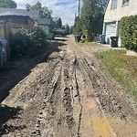 Backlane Maintenance at 211 Hendon Dr NW