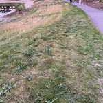 DO NOT USE - Mowing in a Park - Residential Boulevard up to 50km/h-WAM at 43 Corner Meadows Ro NE