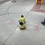 Fire Hydrant Concerns at 802 4 Av SW