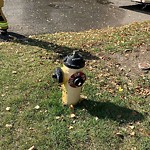 Fire Hydrant Concerns at 248 Templegreen Dr NE
