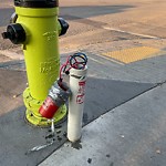 Fire Hydrant Concerns at 738 17 Av SW