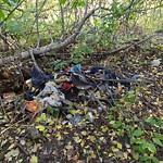 In a Park - Litter Pick Up or Overflowing Park Bins at 304 Cedar Cr SW