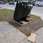 In a Park - Litter Pick Up or Overflowing Park Bins at 951 Mcpherson Sq NE