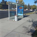 Bus Stop - Garbage Bin Concern at 3528 Charleswood Dr NW