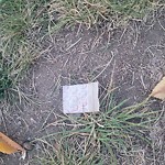 In a Park - Litter Pick Up or Overflowing Park Bins at 3345 12 Av SE