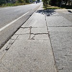 Sidewalk or Curb - Repair at 99 Spruce Pl SW Suite 2006
