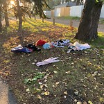 In a Park - Litter Pick Up or Overflowing Park Bins at 1716 13 Av NW