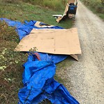 In a Park - Litter Pick Up or Overflowing Park Bins at 1895 9 Av SW