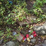 In a Park - Litter Pick Up or Overflowing Park Bins at 1600 90 Av SW