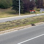 Mowing - Residential Boulevard up to 50km/h at 6079 Richmond Rd SW