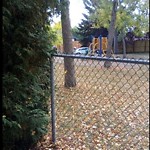 Fence Concern in a Park-WAM at 367 Templeside Ci NE