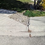 Sidewalk or Curb - Repair at 3 Riverwood Co SE